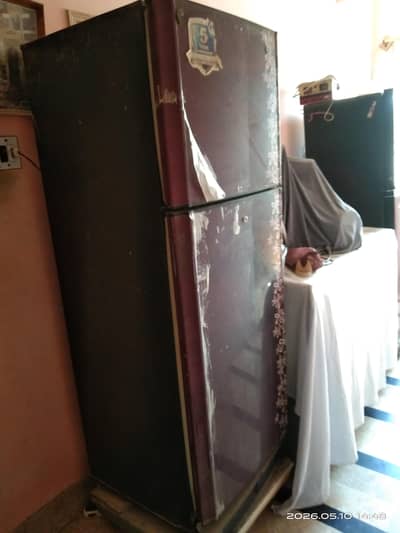 Pel fridge used condition