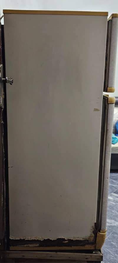 PEL Freezer or Refrigerator, 2010