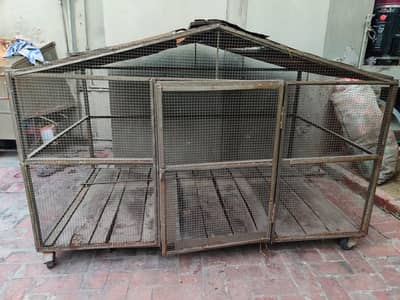 Birds cage