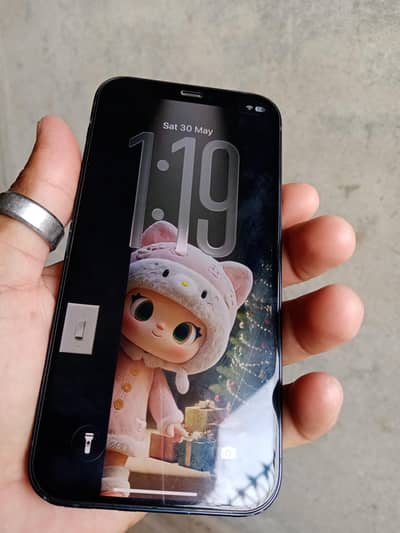 Apple iPhone 12