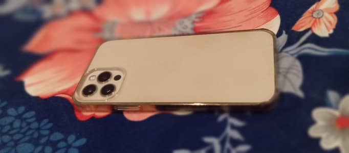iPhone 12 pro