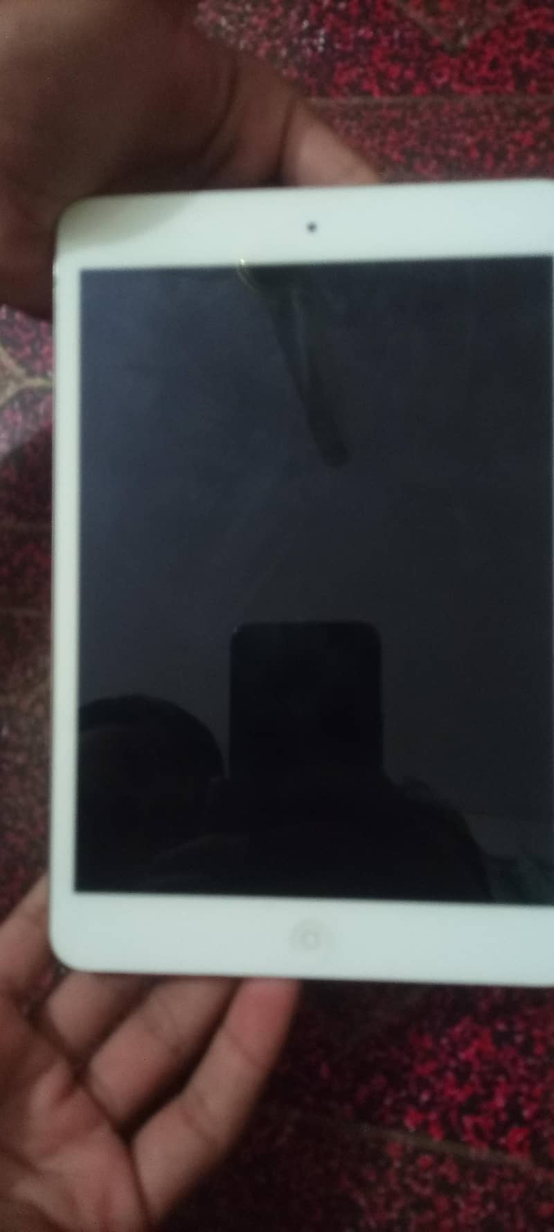iPhone ipade mini2 1