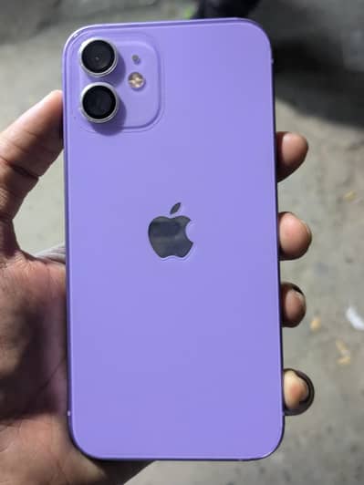 Apple iPhone 12