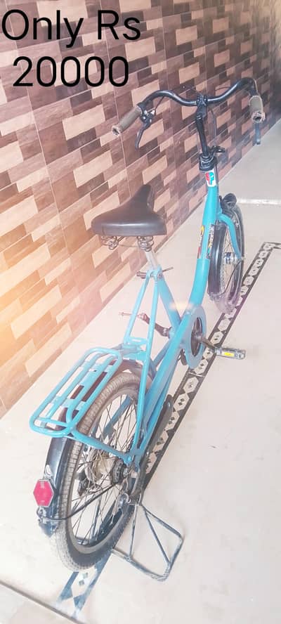 Giant bicycle