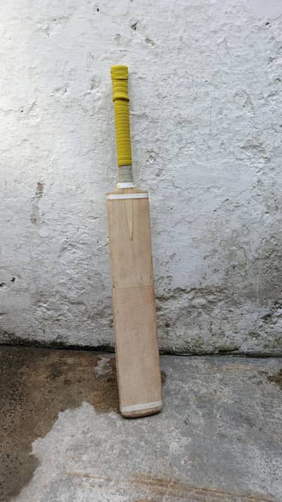 Hard Ball Bat English willow