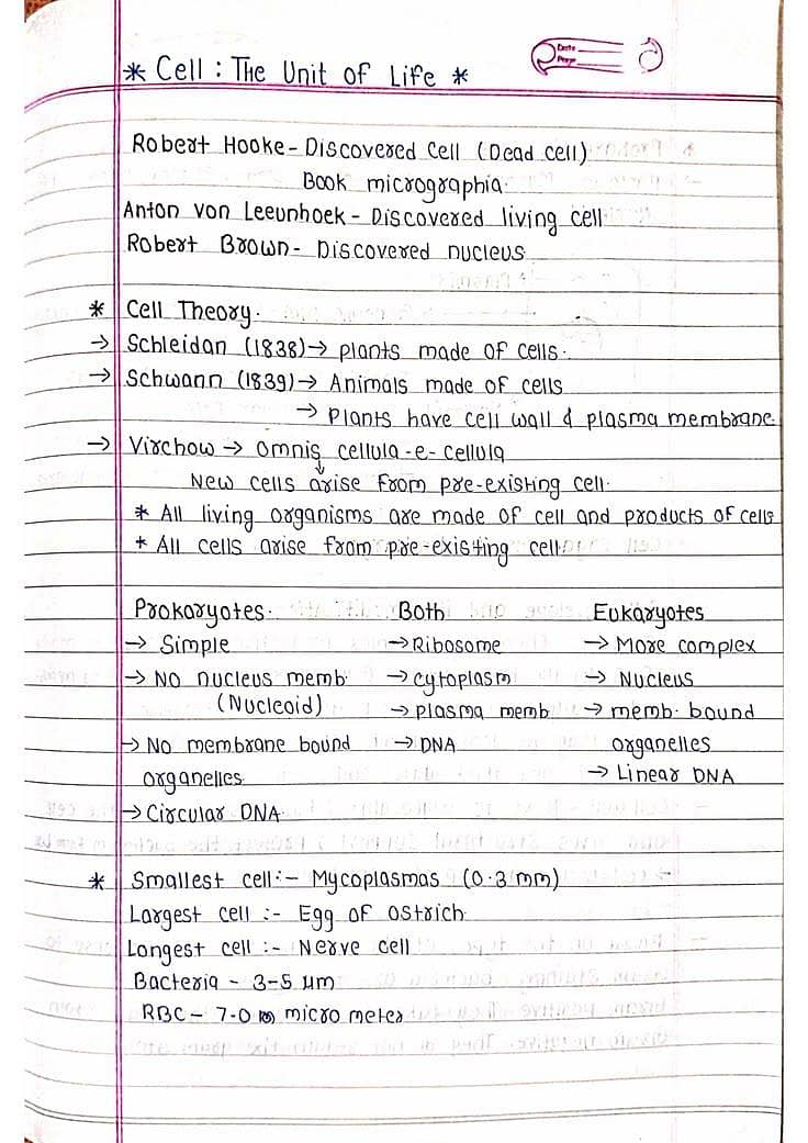 Content writing and assignment work 1