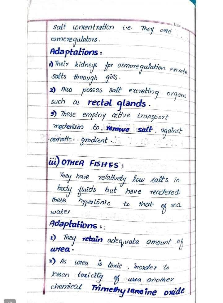 Content writing and assignment work 3