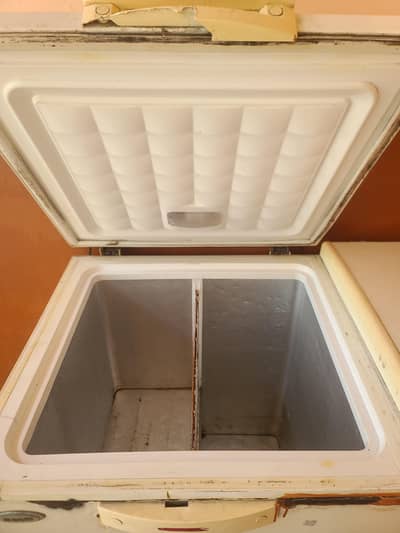waves double freezer