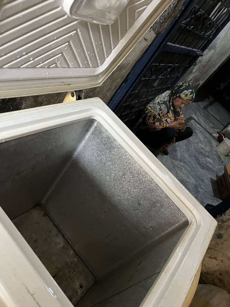 Freezer 6