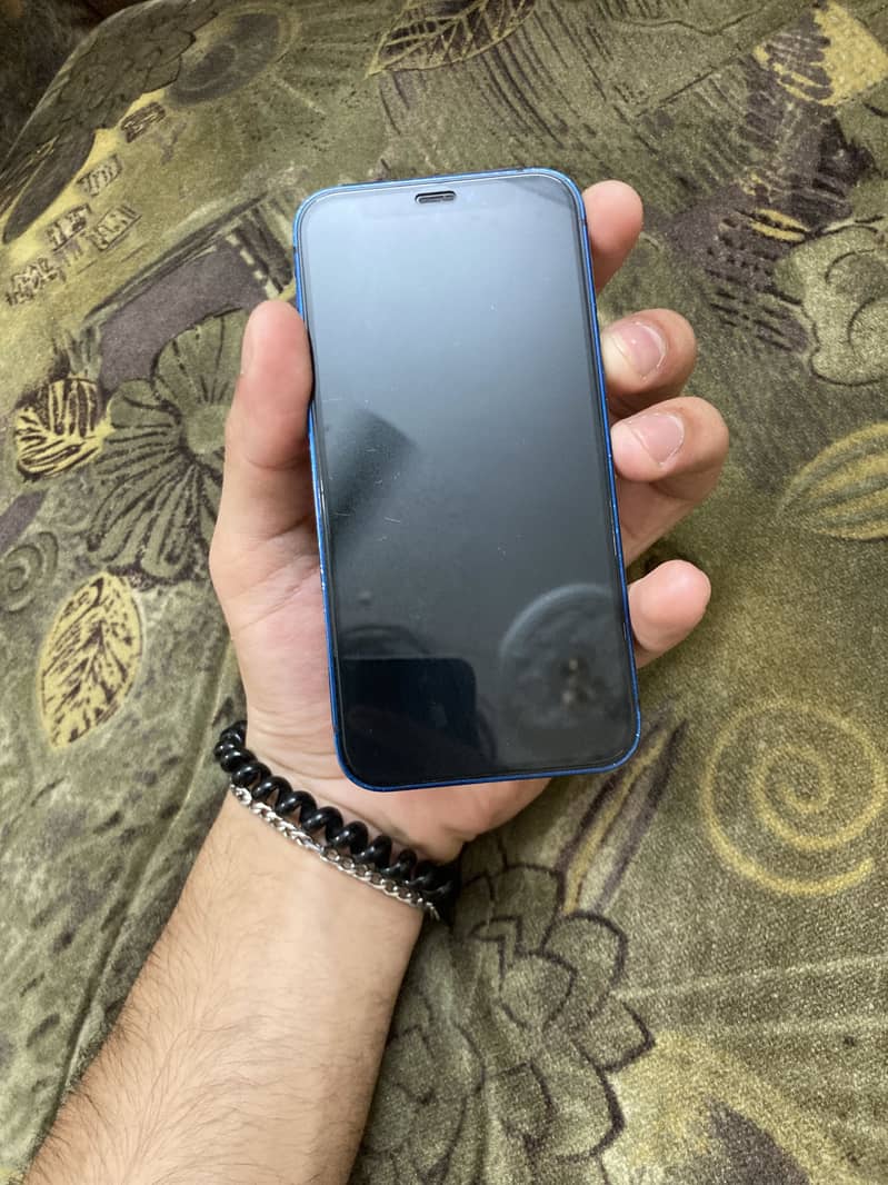 Apple iPhone 12 mini 1