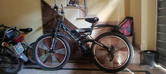 Imported Italiano Bicycle