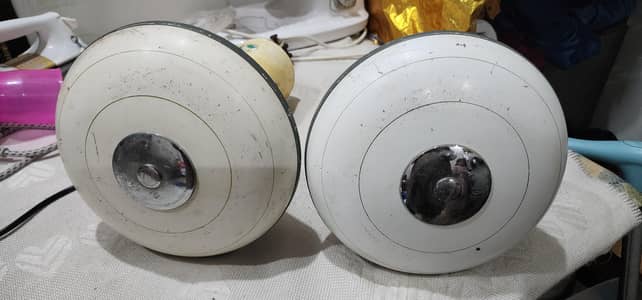 2 Pak ceiling fans