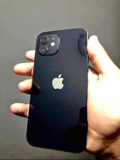 Apple iPhone 12