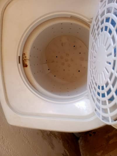 dawalance spinner for sale