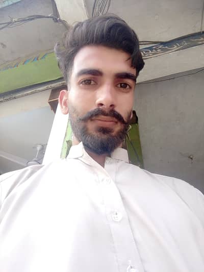 need any type of house job