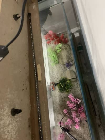 Aquarium + Heater + Pump + Light