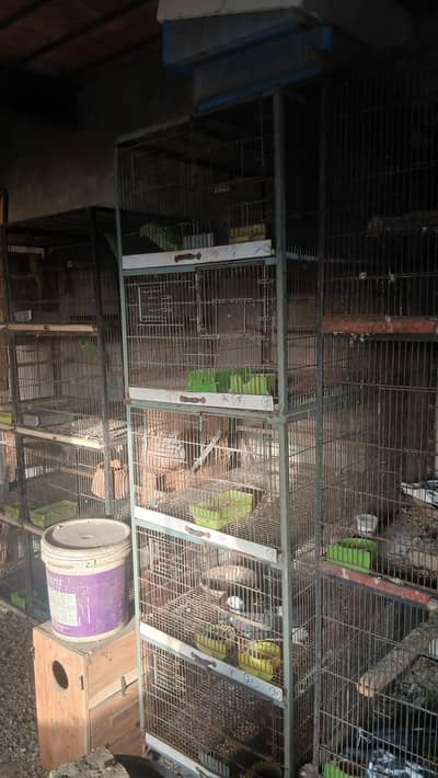 iron cage for sale