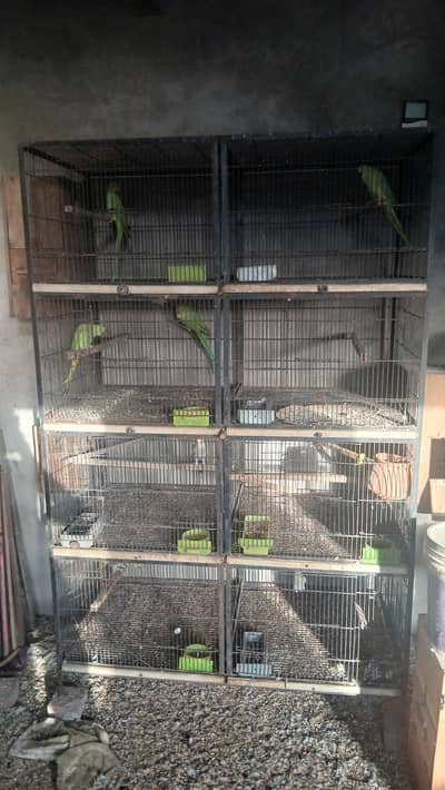 iron cage for sale
