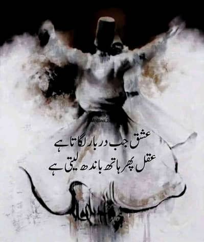 Mian jii