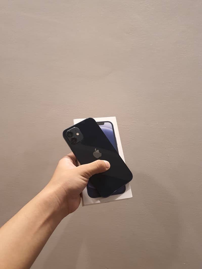 Apple iPhone 12 1
