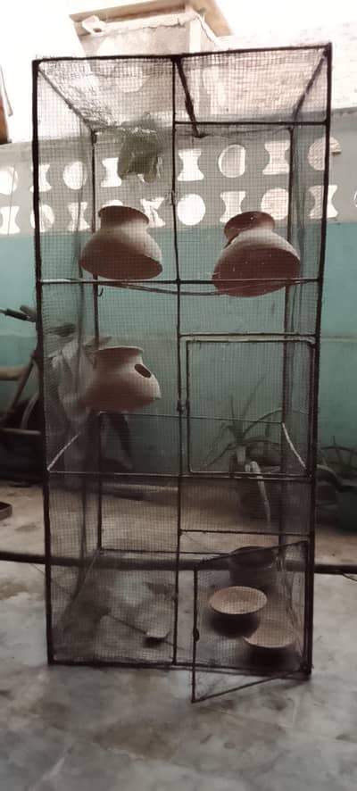 pinjra cage
