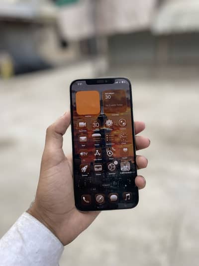Apple iPhone 12 Pro Max