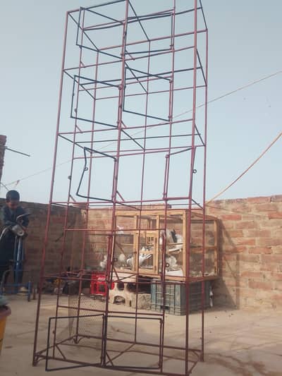 5 portion cage