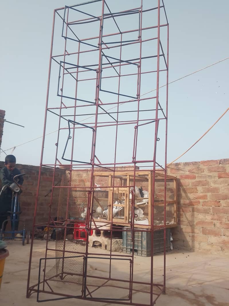 5 portion cage 0