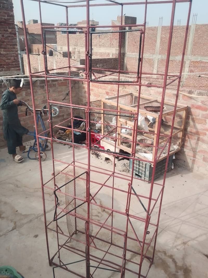 5 portion cage 1