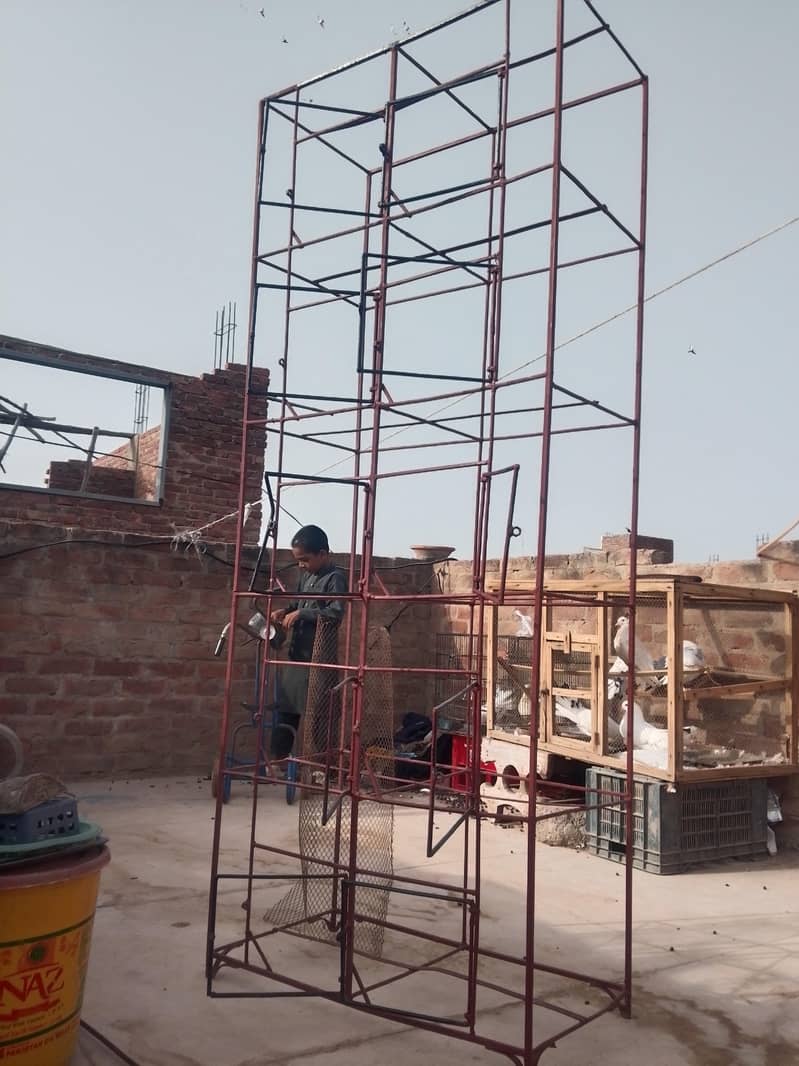 5 portion cage 3