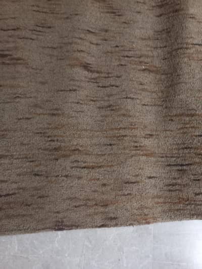 carpet 17x11 ft
