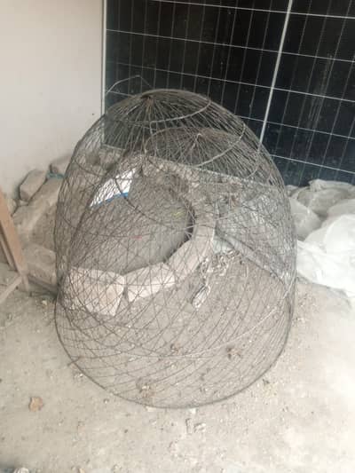 for sale . . . . .