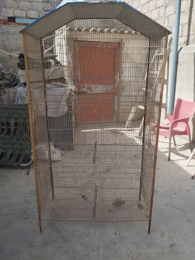 Parrot Cage