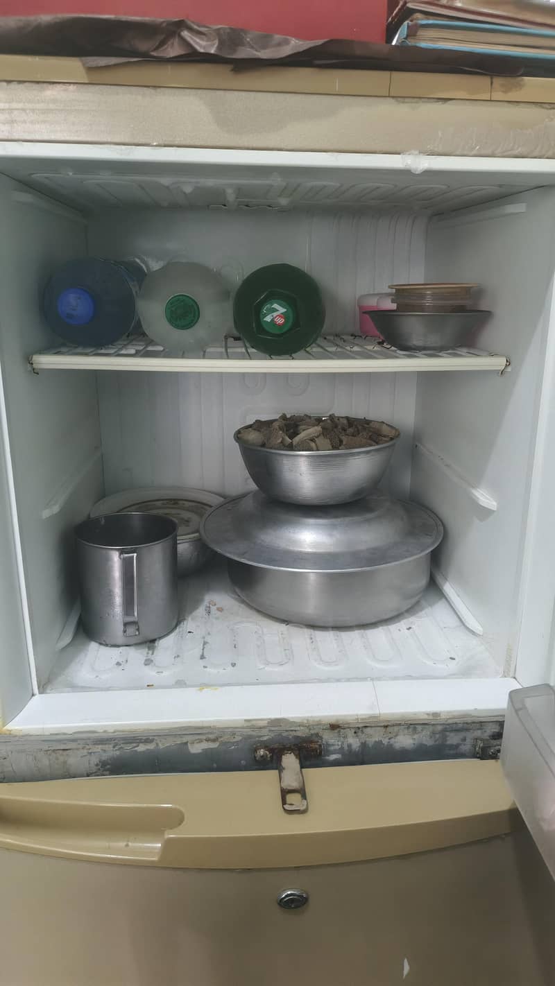 pel fridge 4