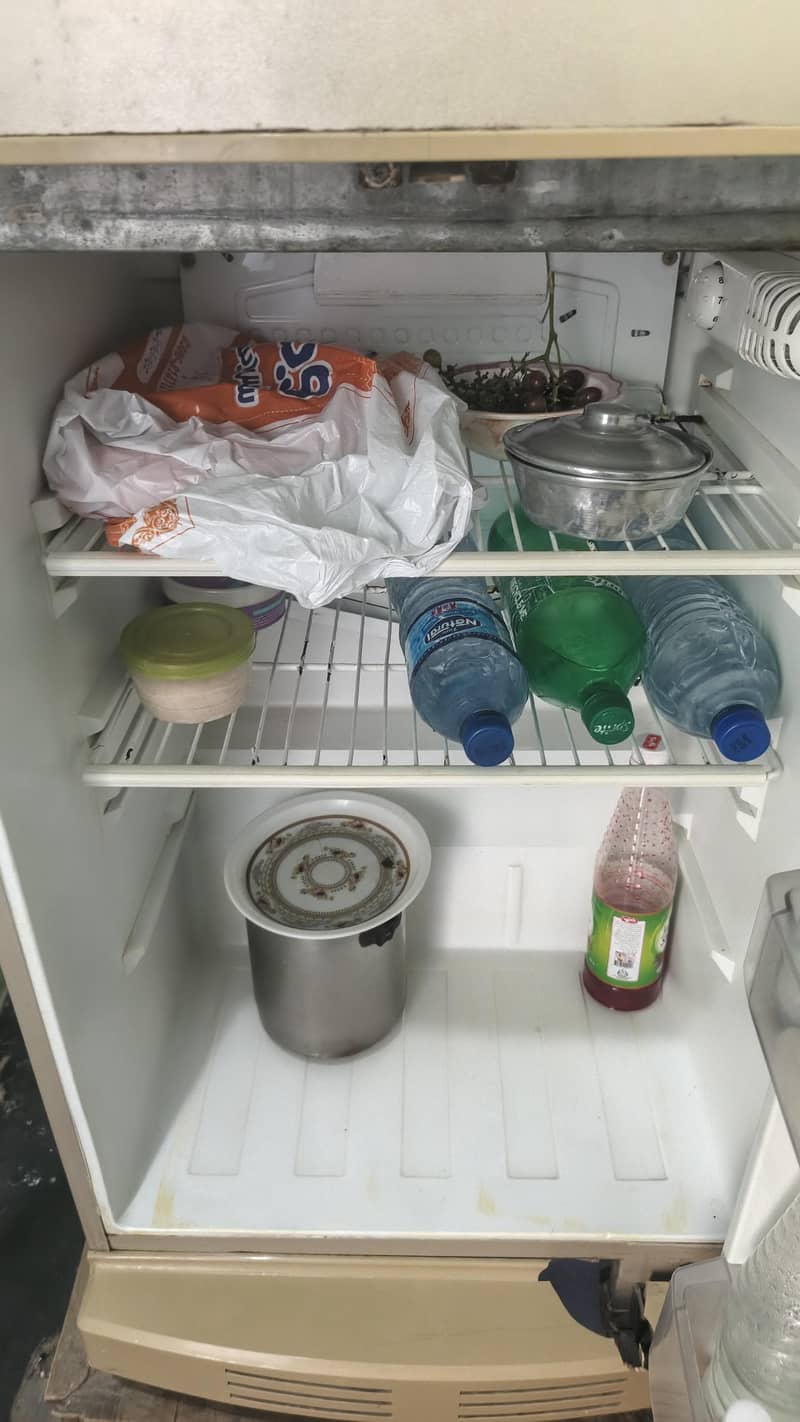 pel fridge 5