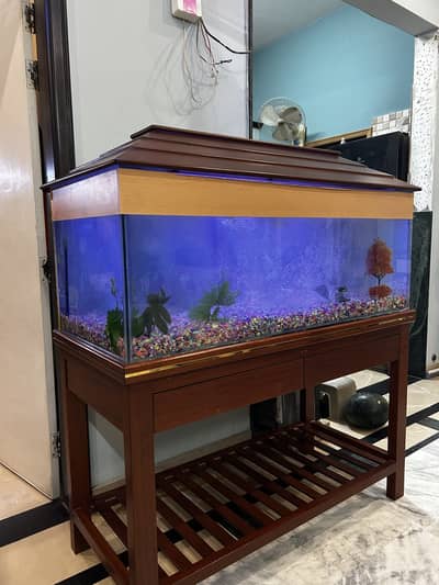 Luxury Large Aquarium for Sale