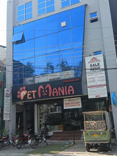 (pet mania) looking for rider and cashier