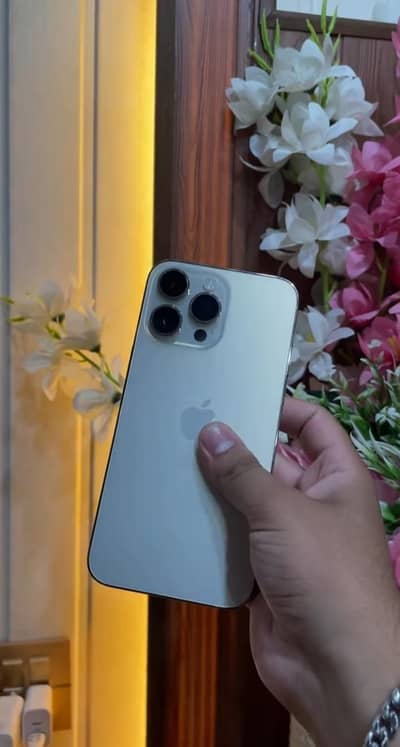 Apple iPhone 14 Pro Max fu Sim time available