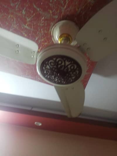 royal fan