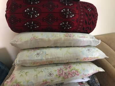 3 Pillow and gao takiya