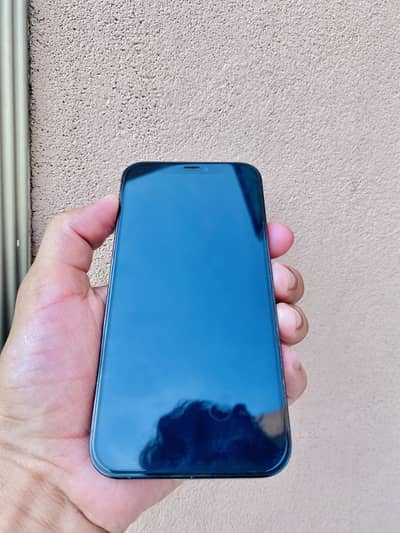 iPhone 12 Pro 10/10