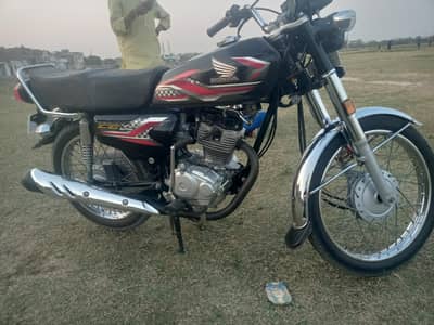 Honda 125 2023 2024