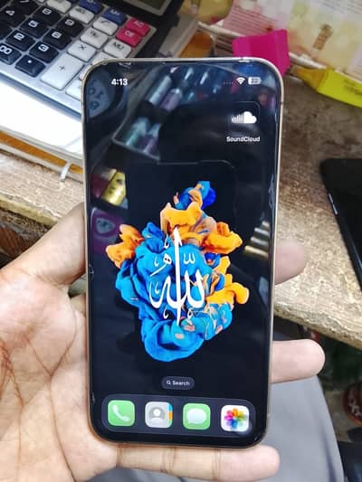 Apple iPhone 13 Pro