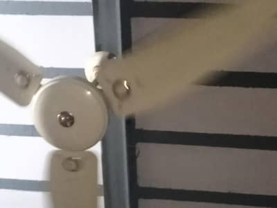 celling fane