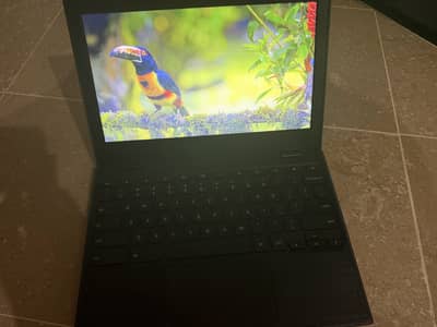 Lenovo 100e Chromebook 4k graphics first check then buy