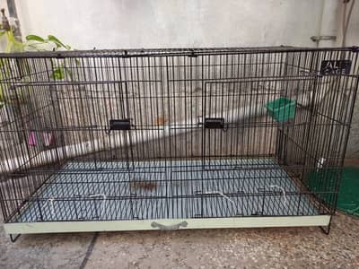 Hen Cage