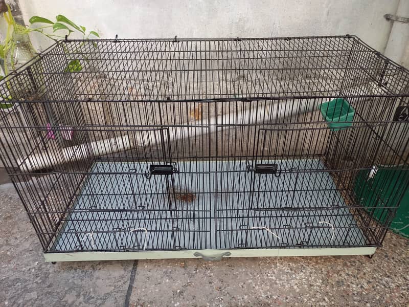 Hen Cage 1