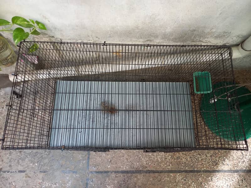Hen Cage 2
