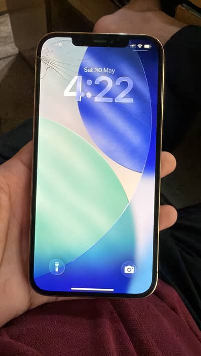 Apple iPhone 12 Pro Max