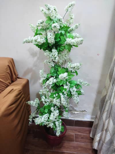 Premium quality large artificial plants for home decor